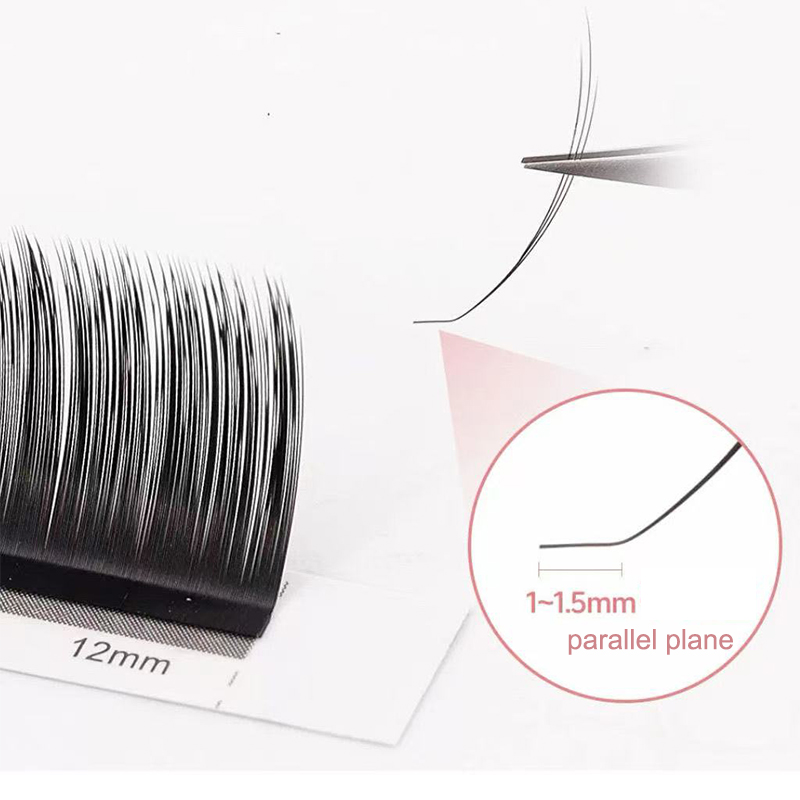 dream ballet Camellia Lashes w - đánh giá và giá Eyelash Extension C Curl
