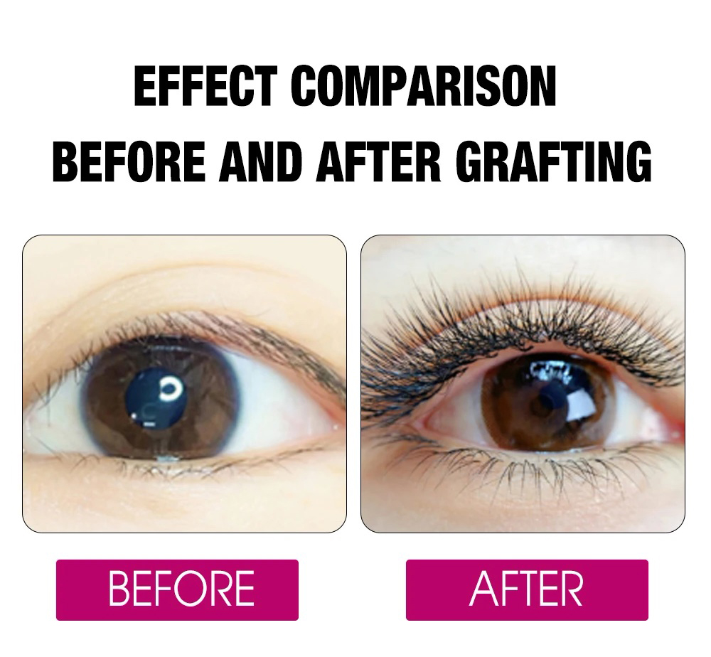 FADVAN 8D W Double Layers 4D W - đánh giá và giá Eyelash Extension Double Volume